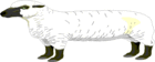 28-06-Sheep.gif